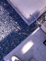 /album/fotogaleria/eq-ssee-2-jpg/